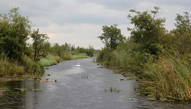 De Weerribben en Pantropica