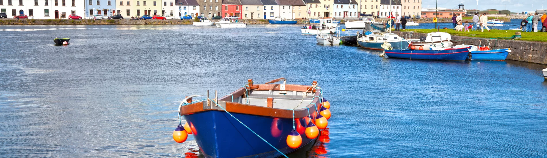 Bus-rondreis 12 dagen Ierland