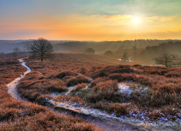5 daagse Kerstreis Veluwe, Nunspeet