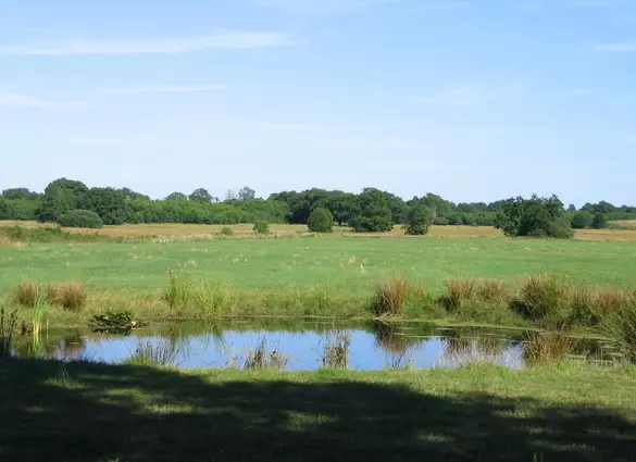 Busreis Odoorn, 5 daagse klaverjasreis Drenthe