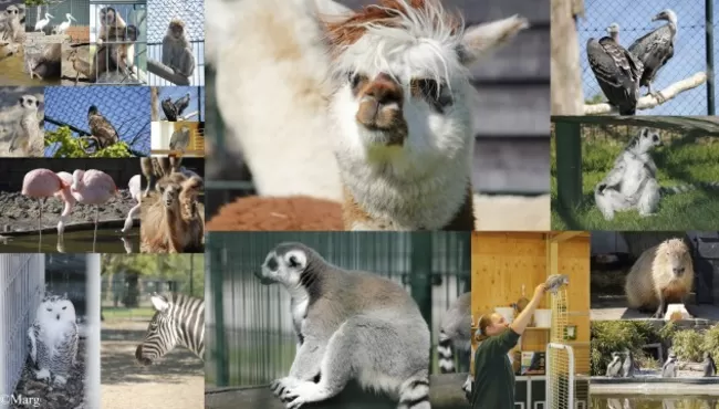 Dierenpark Blanckendaell