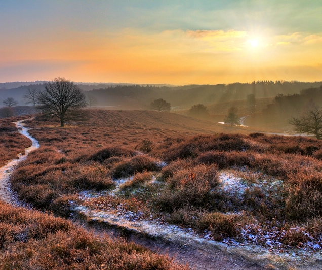 5 daagse Kerstreis Veluwe, Nunspeet
