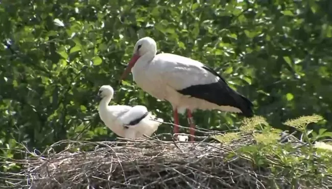 Chocolade Atelier Van Noppen en Ooievaarsdorp
