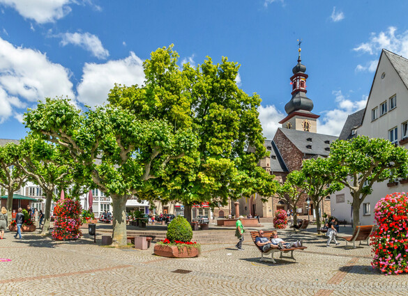 9 daagse Riviercruise over de Rijn naar Rüdesheim