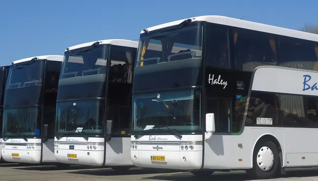 Informatie met opsomming ( + gallerij)