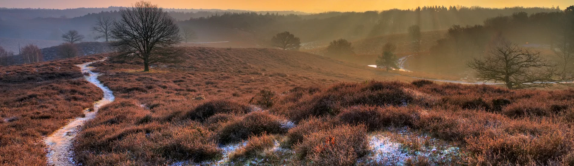 5 daagse Kerstreis Veluwe, Nunspeet