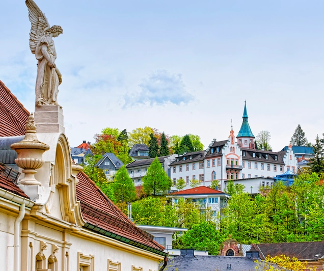 Busreis Zwarte Woud, 6 dagen Schallstadt