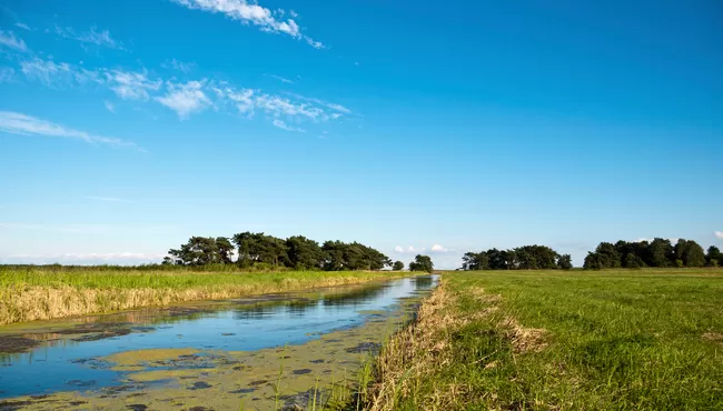Friesland Boerenland