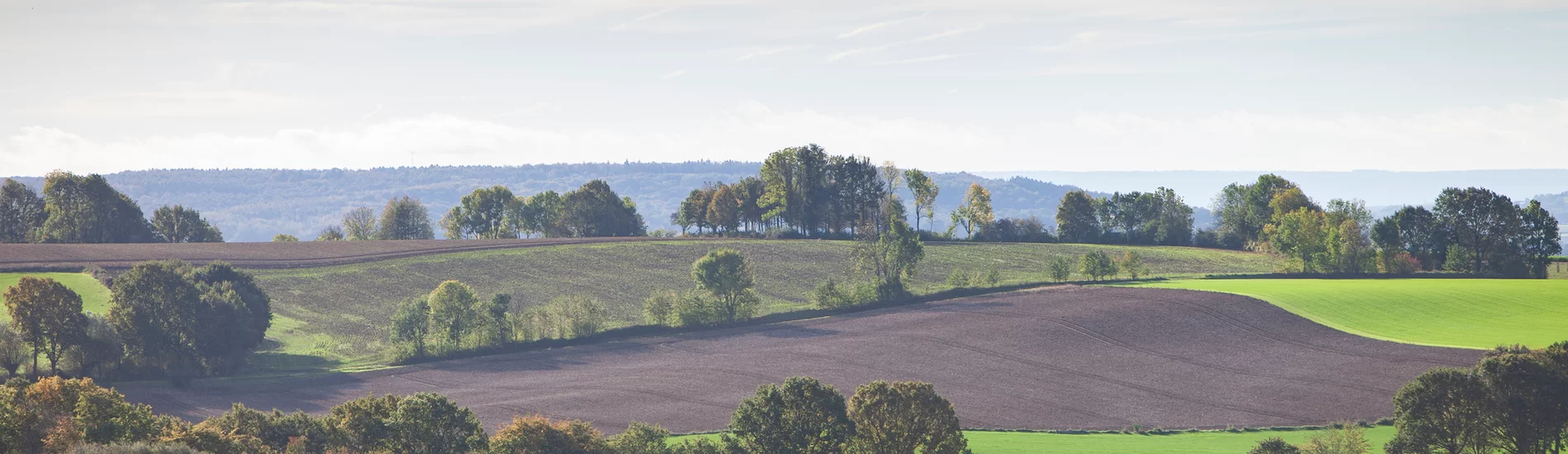 Busreis Valkenburg, 5-daagse klaverjasreis Limburg